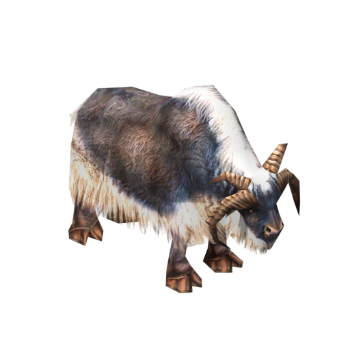 Sheep
