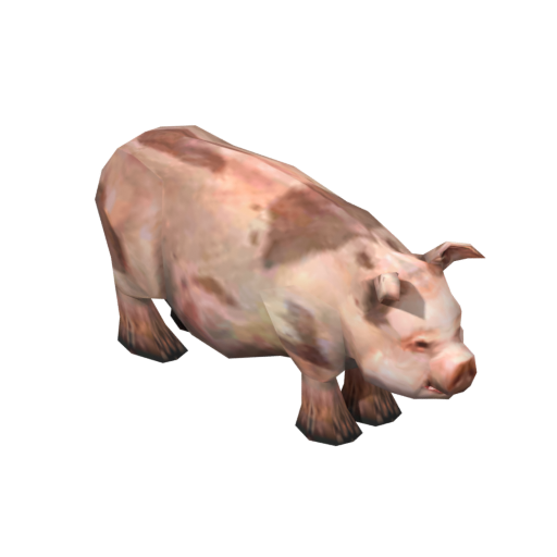 Hog
