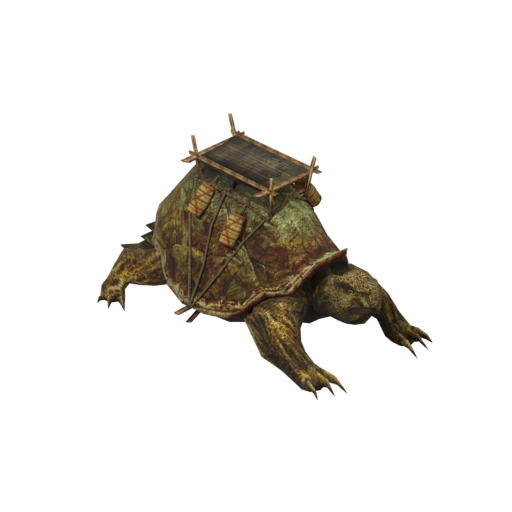 Leopard Tortoise