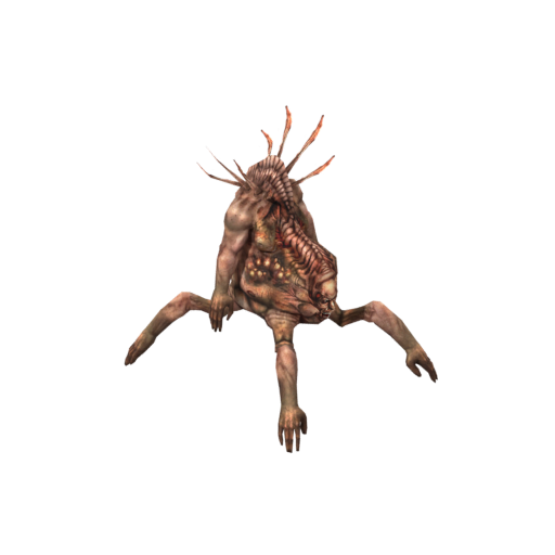 Afflicted Ritualist