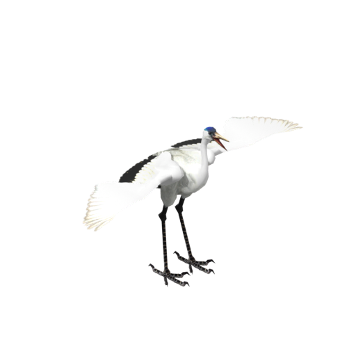 Crane