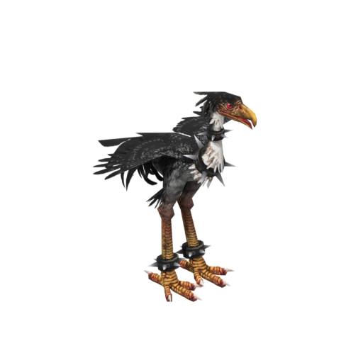 Black Moa (collector)