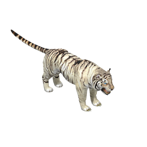 White Tiger