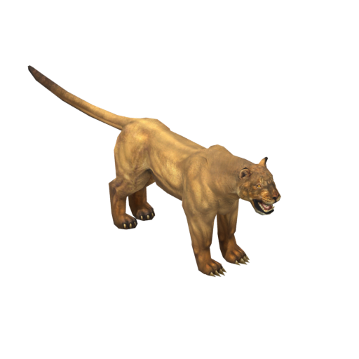 Lioness