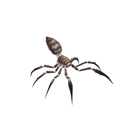 Stalking Nephila