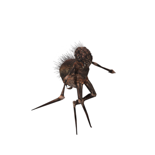 Veldt Beetle Queen