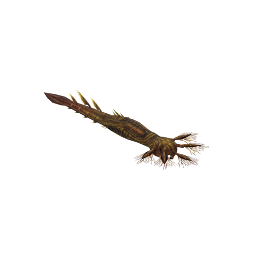 Mirage Iboga