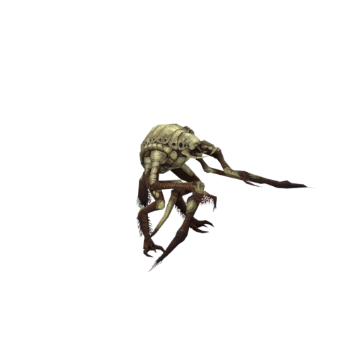 Ghosteater Beetle