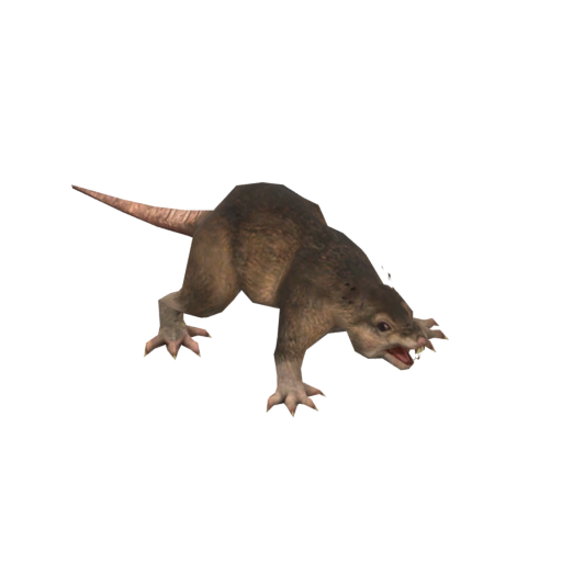 Jahai Rat