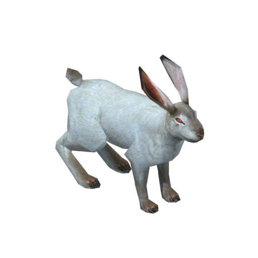 Rabbit (white)