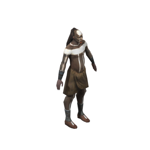 Wandering Priest