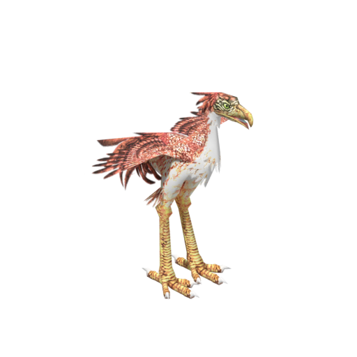 Moa Bird