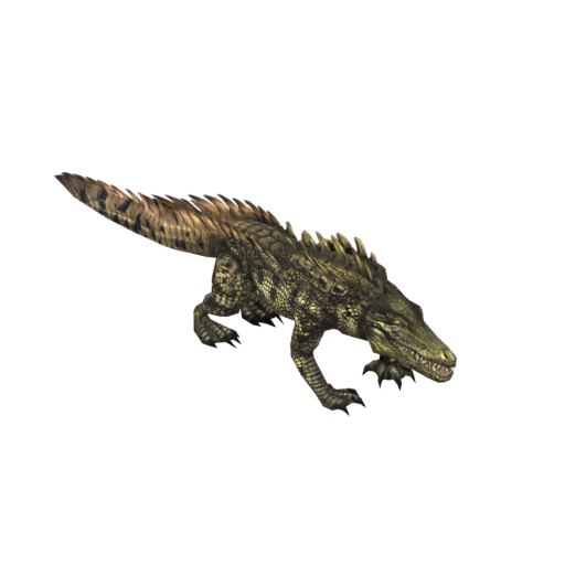 Crocodile