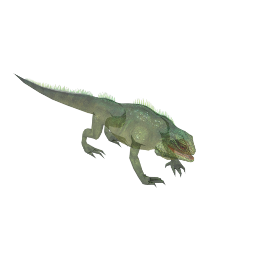 Iguana