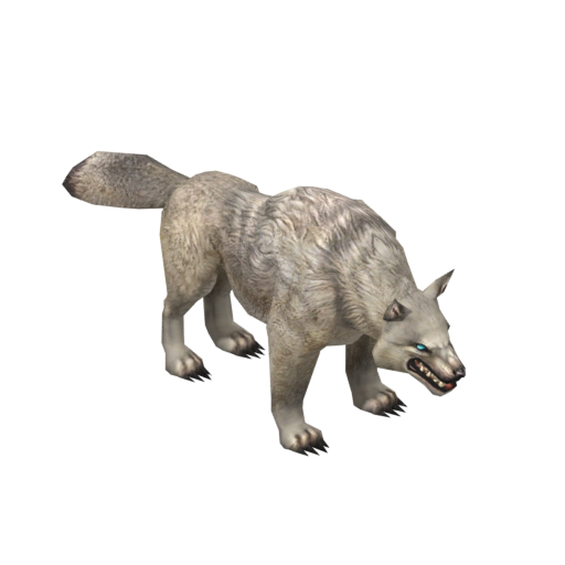 Arctic Wolf