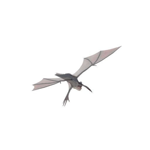 Stormcloud Incubus