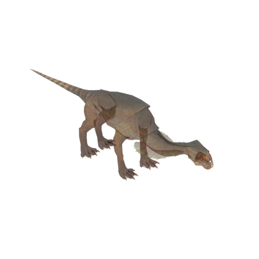 Angorodon