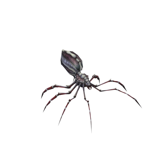 Arachni