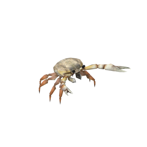 White Crab