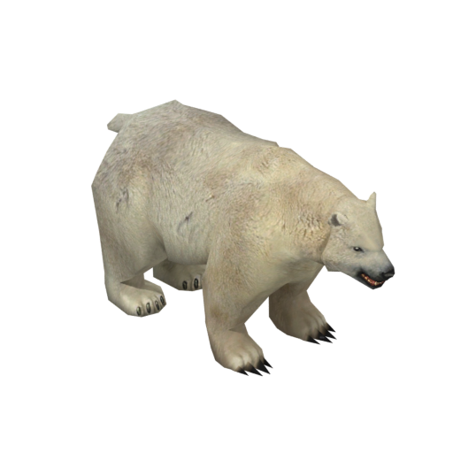 Polar Bear