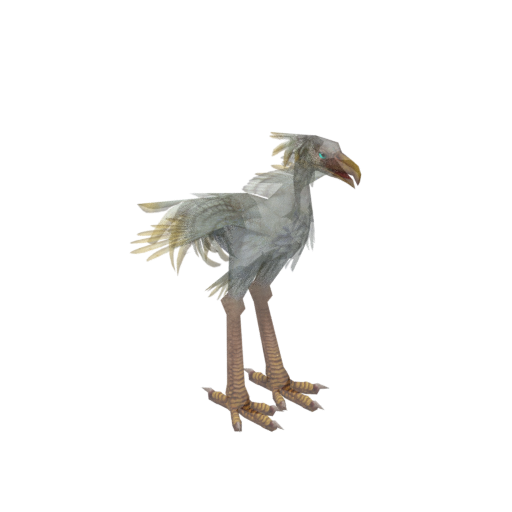 White Moa