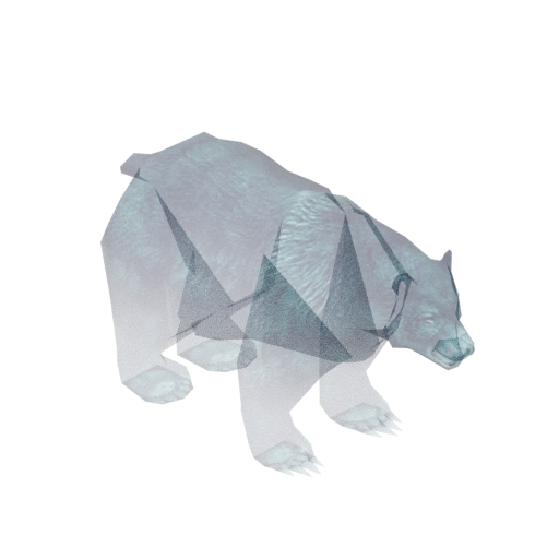 Bear Spirit