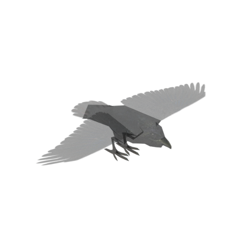 Carrion Feeder