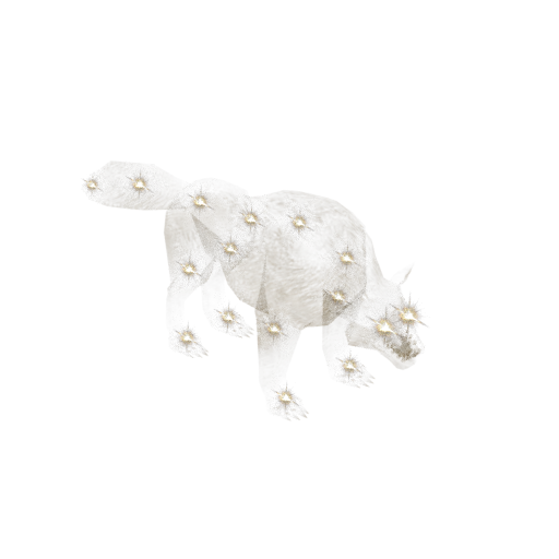 Celestial Dog