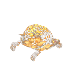 Leopard Tortoise